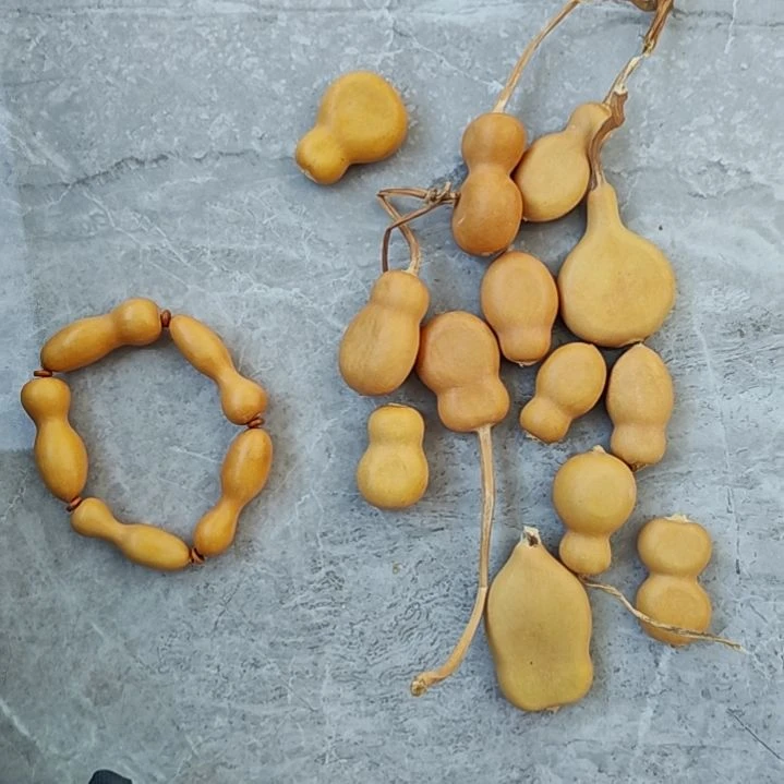 葫***坊葫芦手串葫芦扁微瑕
