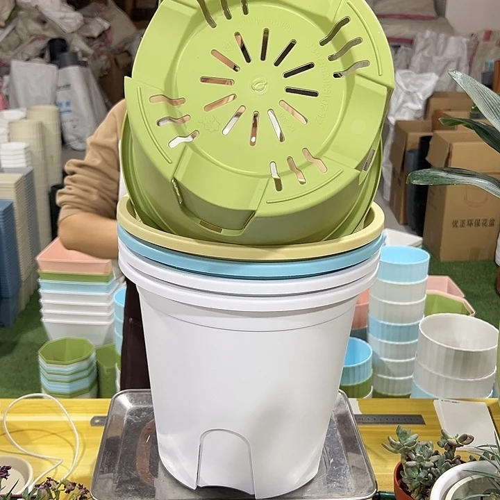 四季盆口30高30混色无托5只