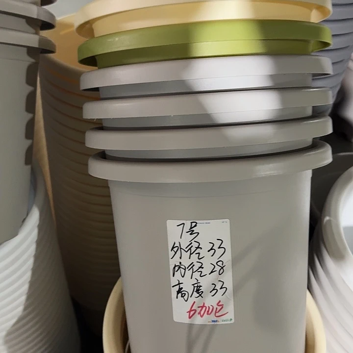 微瑕7#灰白6个无托