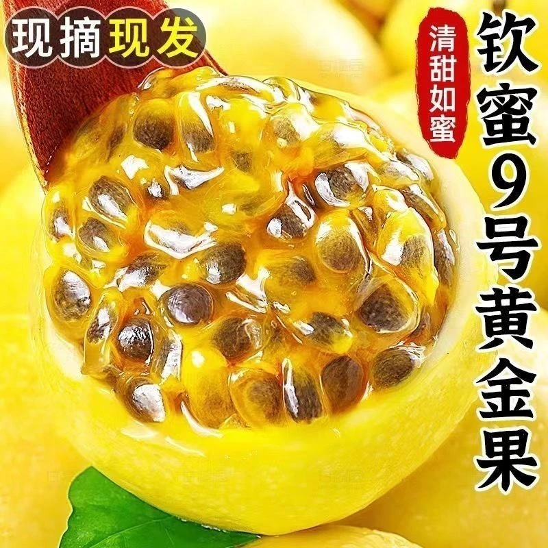 D钦蜜9号黄金百香果新鲜采摘浓郁香甜赠送开果器