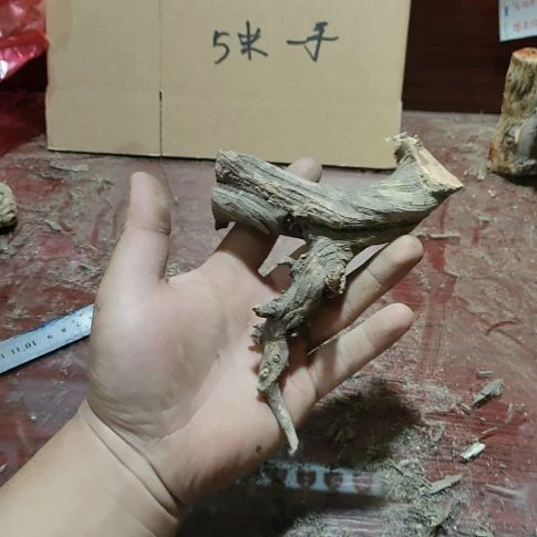 落***叶核桃木/黑胡桃（胡桃木）