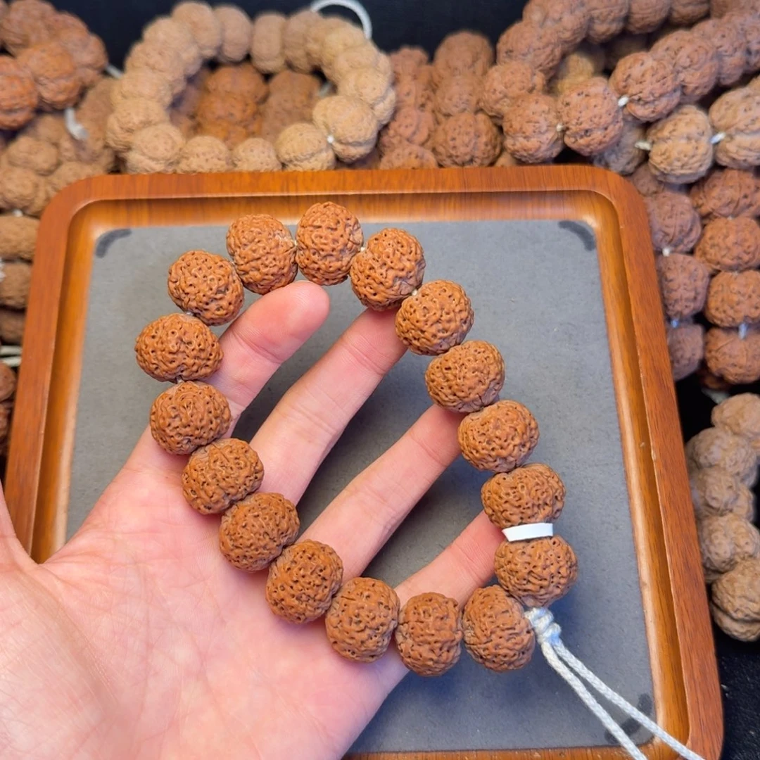 13号尼泊尔大金刚20五星蜂王菠萝蜜