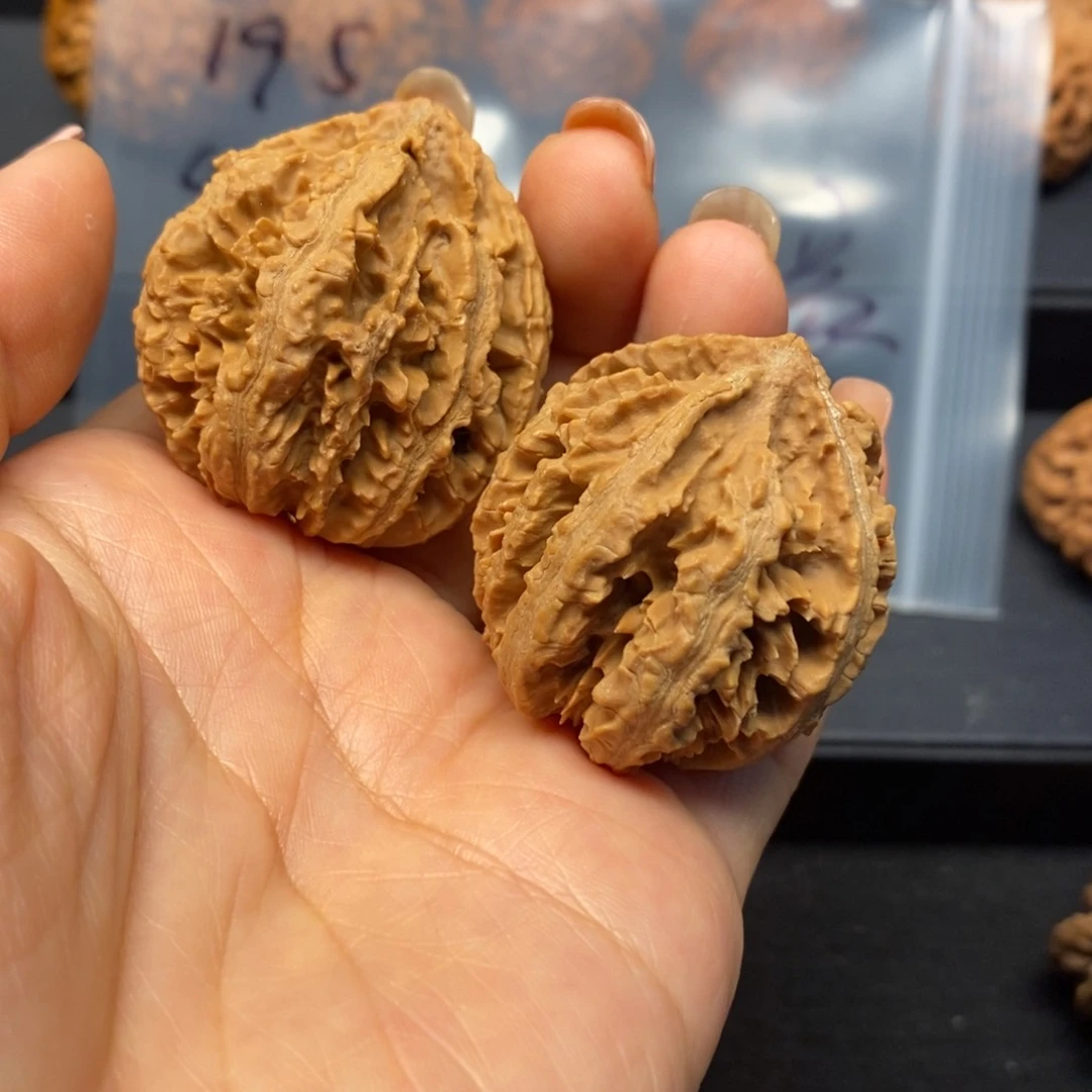 核桃手串/手链秦岭南北缘是指长江北岸