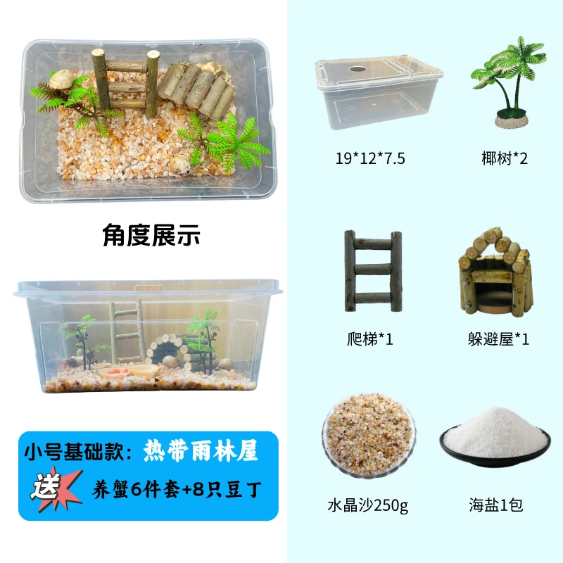 小号寄居蟹饲养盒七件套 小豆丁8只包活5只 小房子