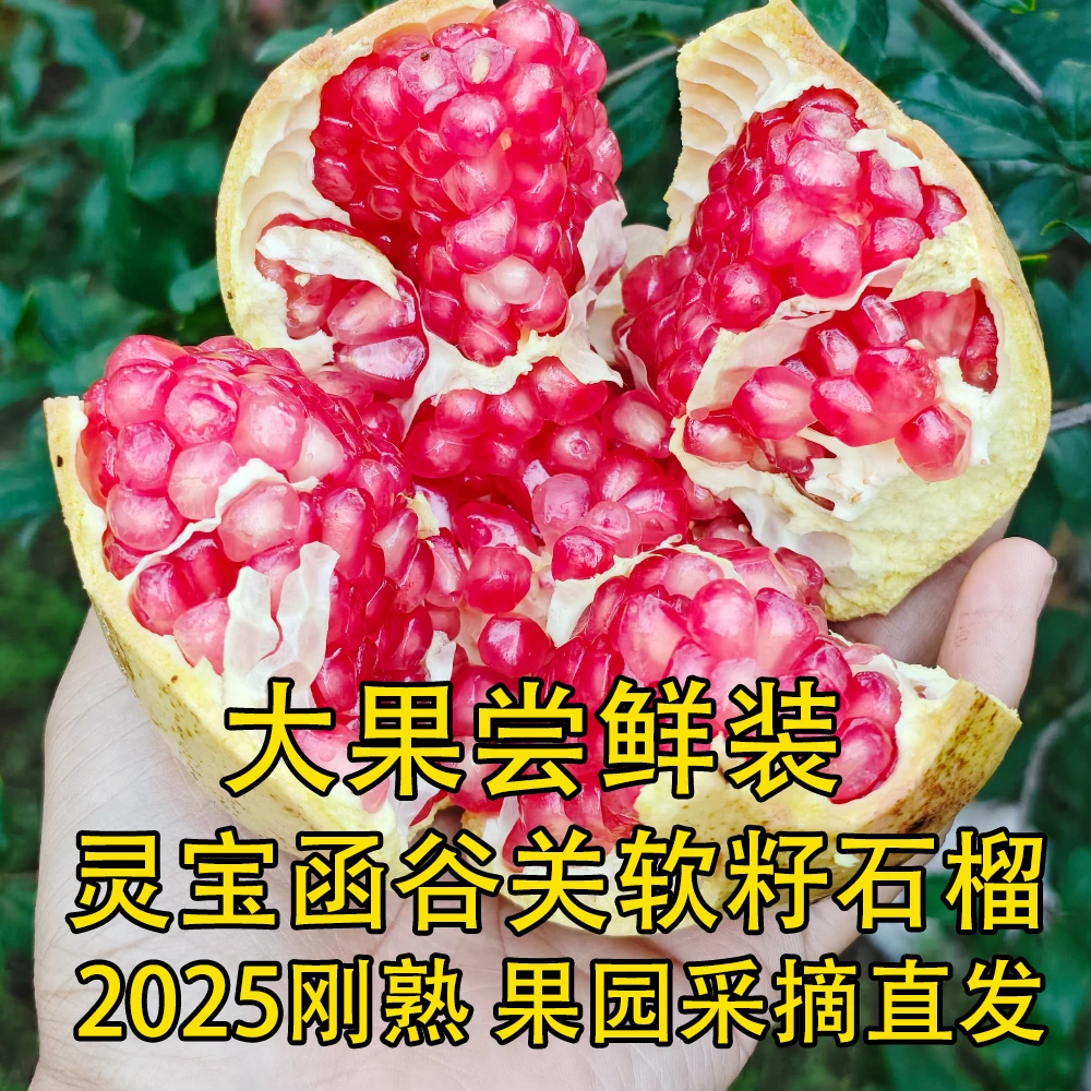 【尝鲜】河南灵宝软籽石榴2025新鲜现摘现发尝鲜包邮发货