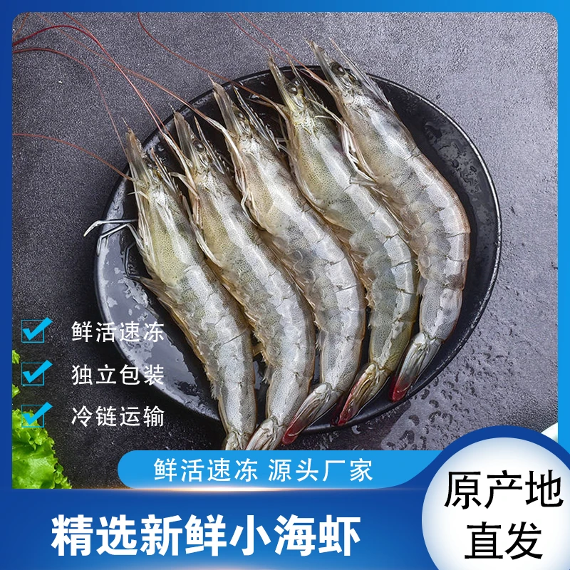 福建东山岛海洋虾海捕速冻小海虾水冻冷链直发40-50只/斤