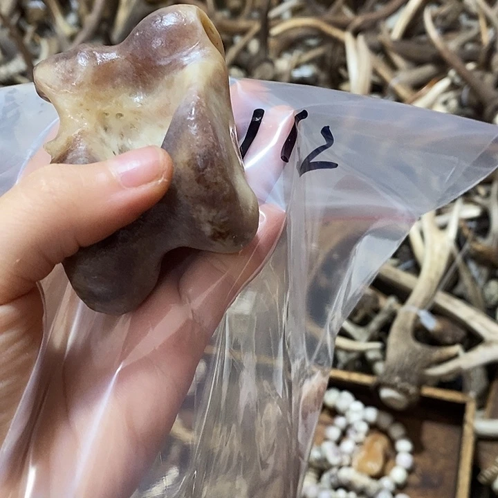任***姓非金属鹿骨鹿骨鹿骨
