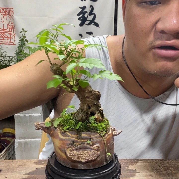 源****斤一物一拍所见即所得273