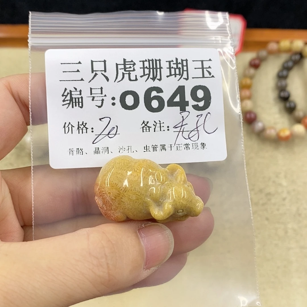 硅化珊瑚（珊瑚玉）1未镶嵌曾**时