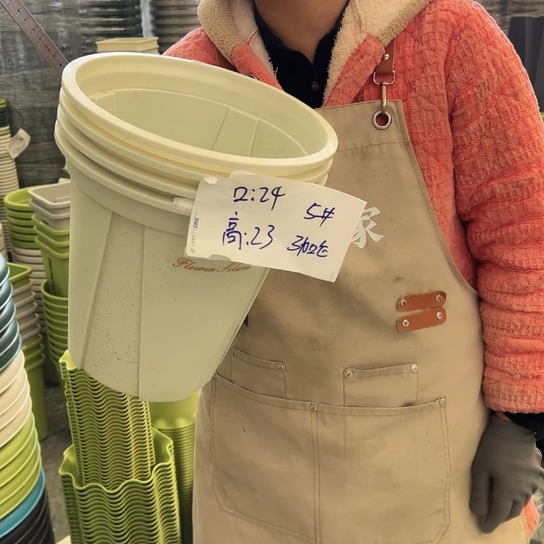 青山盆5#米白色10个无托