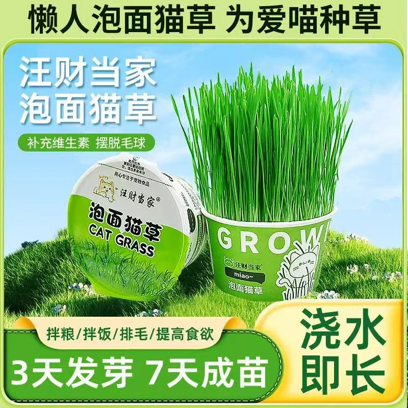 泡面猫草狗草零食罐头懒人种植小麦水培排毛化毛球促进肠胃蠕动