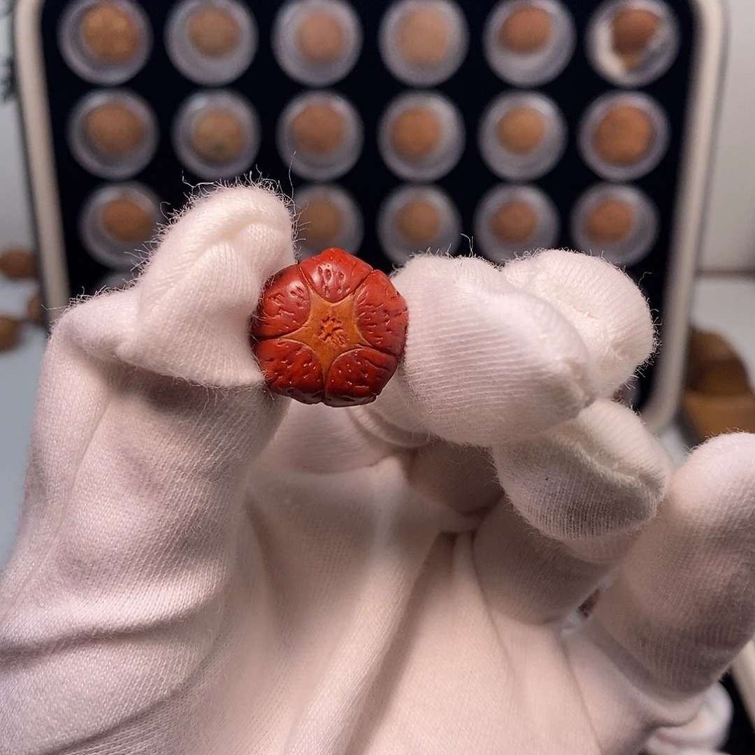 凤眼菩提手串汉***h五星单籽(微瑕有微裂)