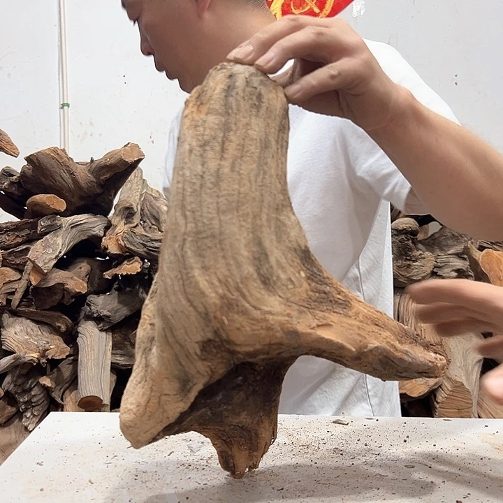 柏木许***康我们的生活也是如此的丰富