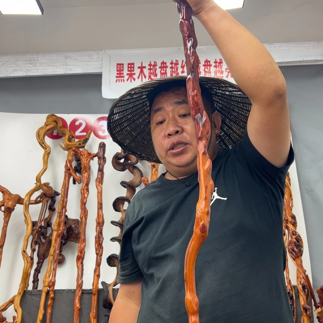 红***喜黑果木其他黑果木726