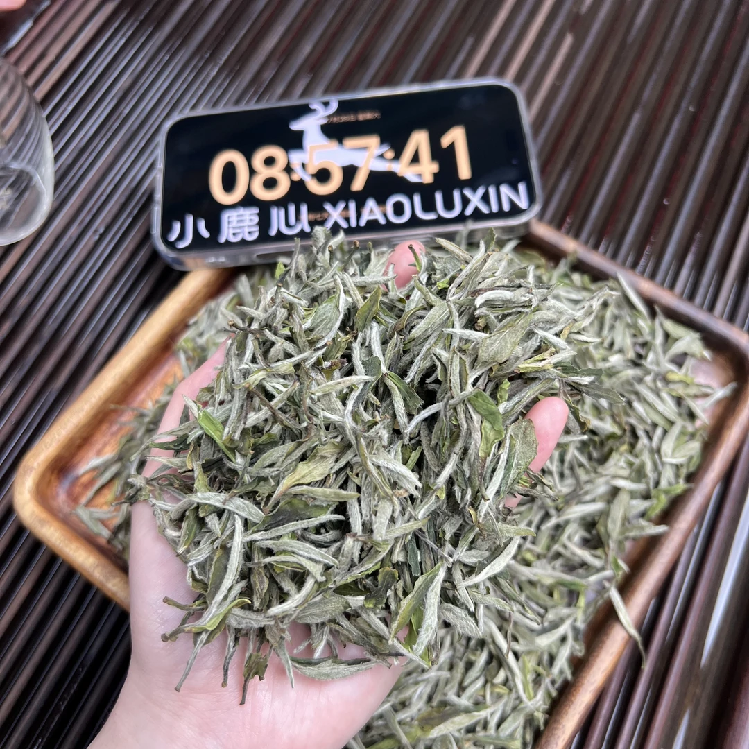 2025牡丹王 ① 小鹿收茶 福鼎白茶 7月26