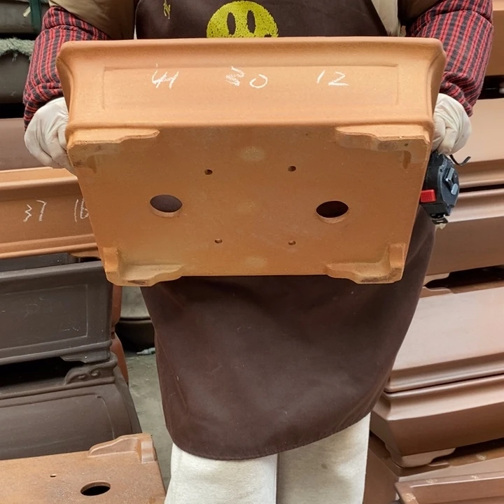 紫砂花盆只顾看电视