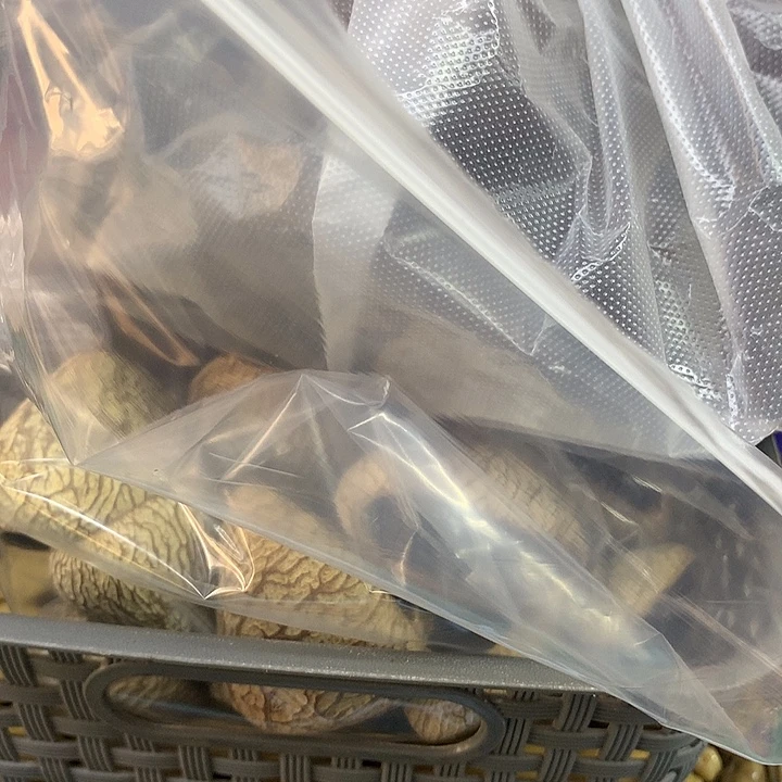 j***a千眼菩提吊坠果壳