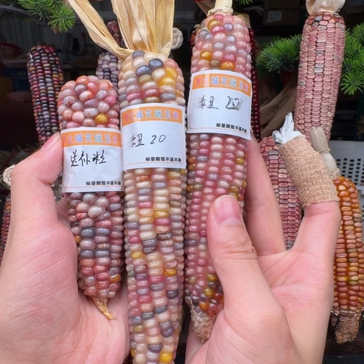 妞***吊坠柏香籽/百香籽