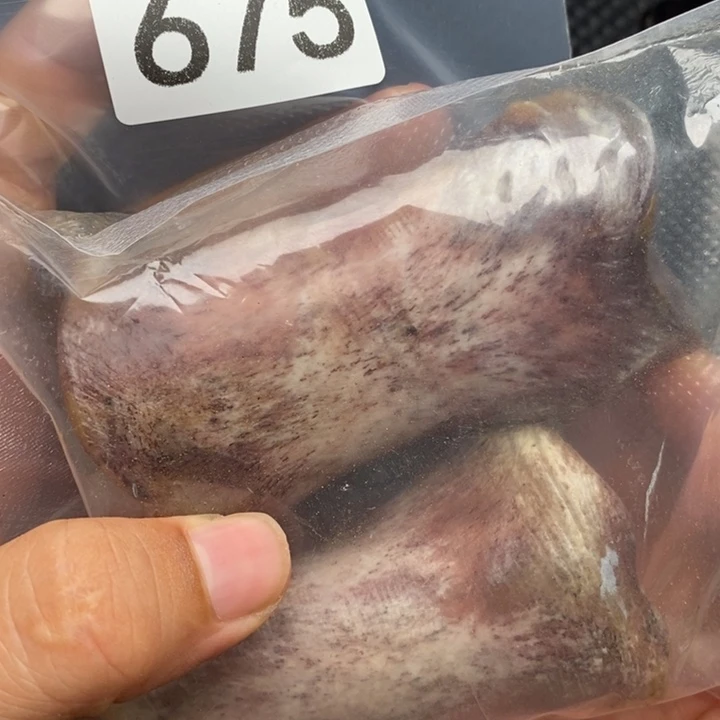 大果紫檀（缅甸花梨）675