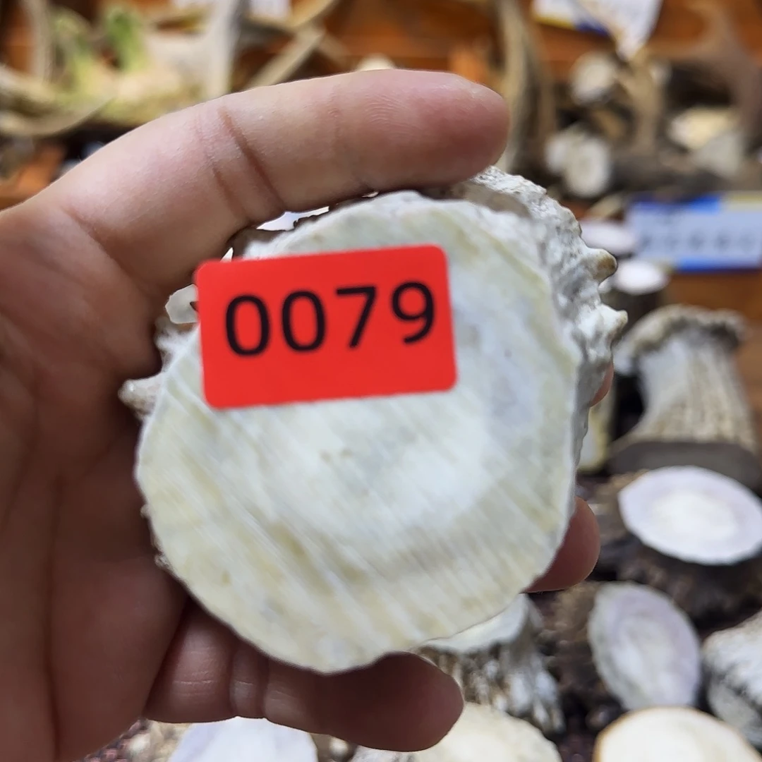 手串/手链鹿骨角帽0079