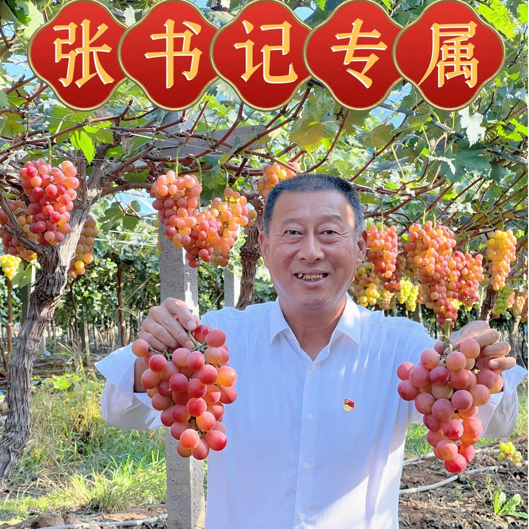 【张书记专属】山西运城高淮村妮娜皇后葡萄新鲜采摘顺丰包邮