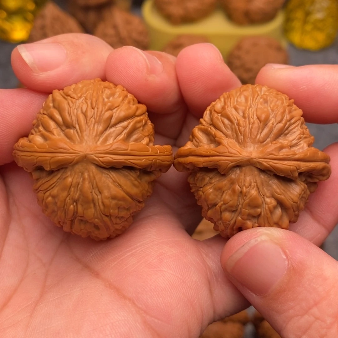 文玩核桃把件37精品毕业白狮子