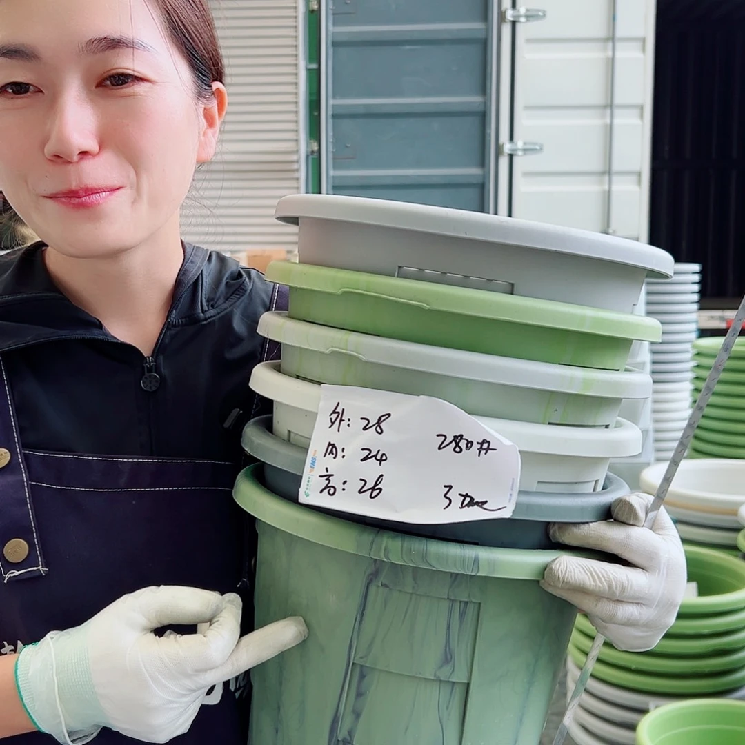 瑕疵玫瑰280#混色6个无托
