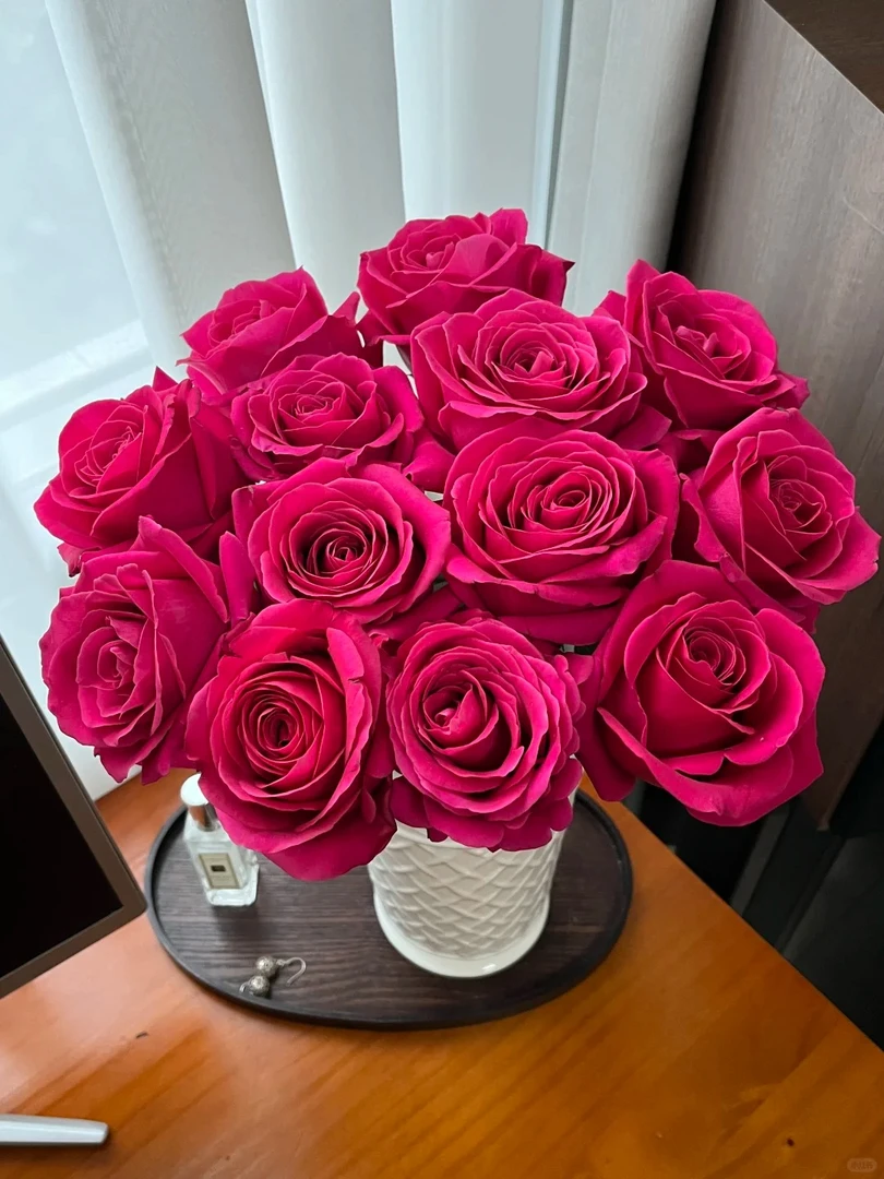 弗洛伊德玫瑰 三单京东（偏远ZT空运） 花苞需醒花摘叶揽收无法退款