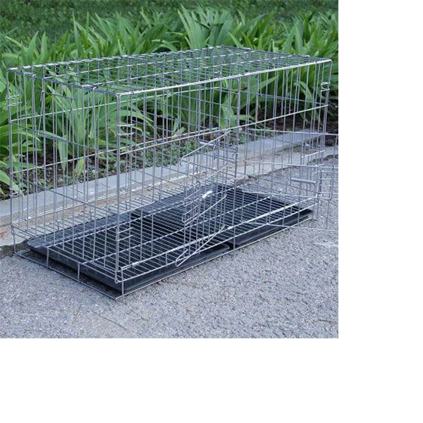 爱鸽鸽子笼加粗折叠带隔断繁殖配对笼鸽子用品鸡笼鸟笼家用养殖笼