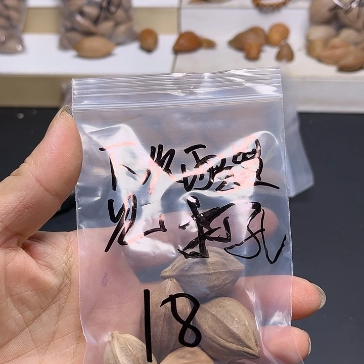 下***见手串/手链橄榄核111