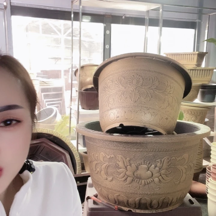 60花盆1个50元包邮