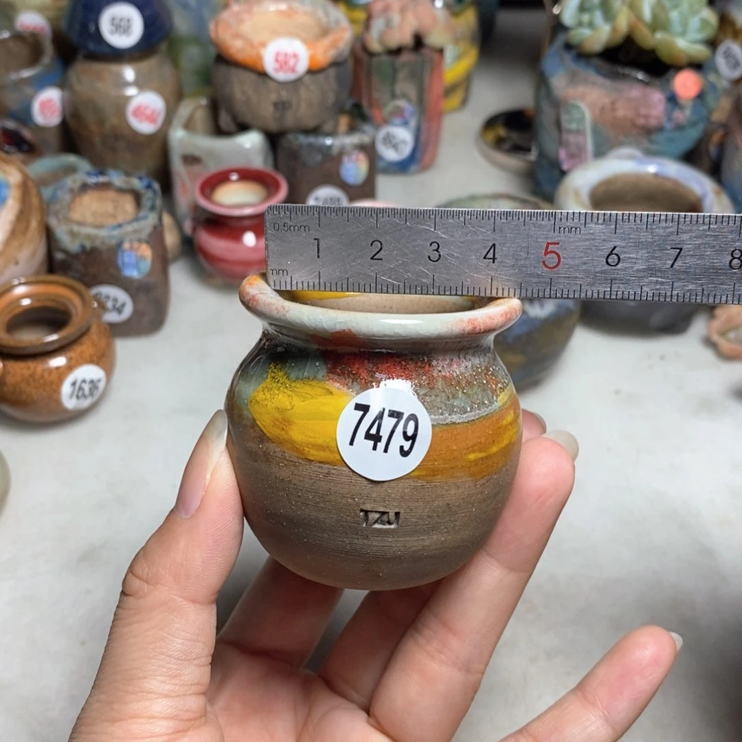 拍5送一个小礼物