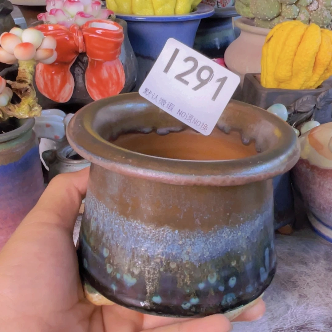 重庆小燕子欢迎大家291