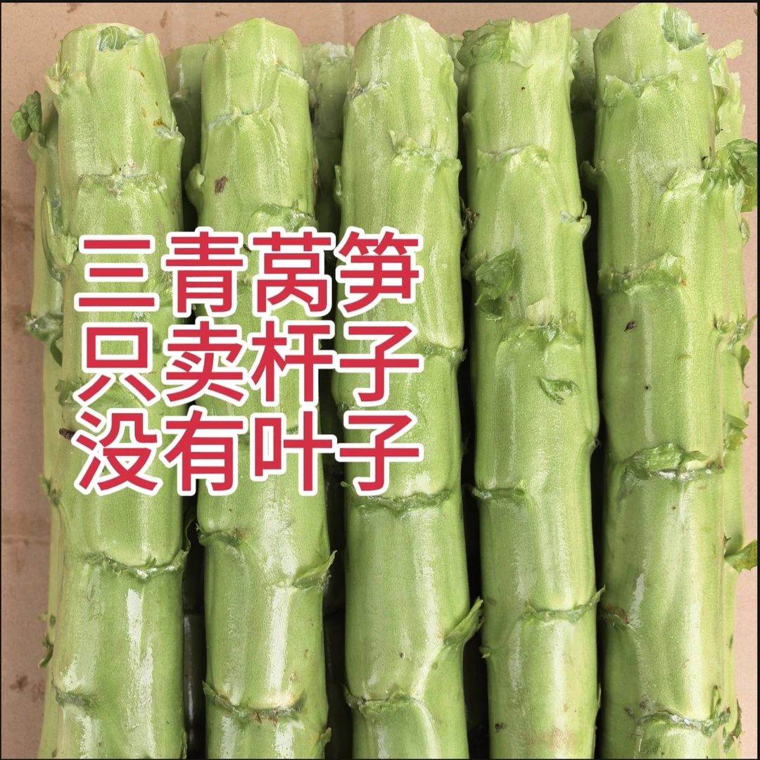 四川三青莴笋炒肉炒素菜煮汤炖肉只卖杆子没有叶子和尖子香得很