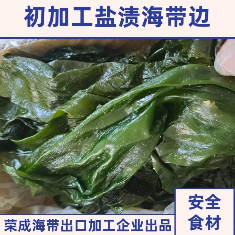 盐渍海带边荣成特产海带大绿边新鲜少盐海带边薄边煲汤凉拌海带边