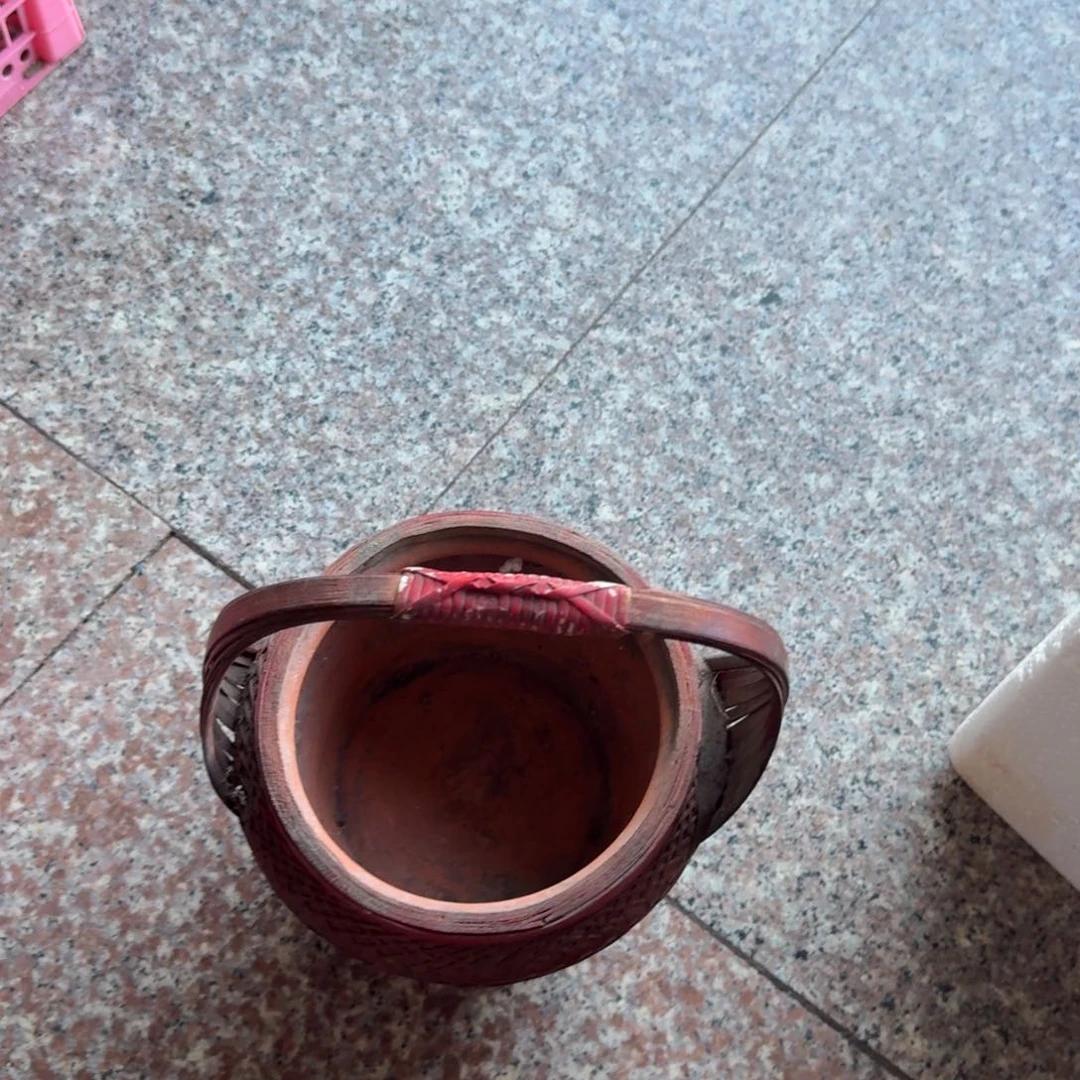 杂色豆（科檀/科特迪瓦檀木）游*