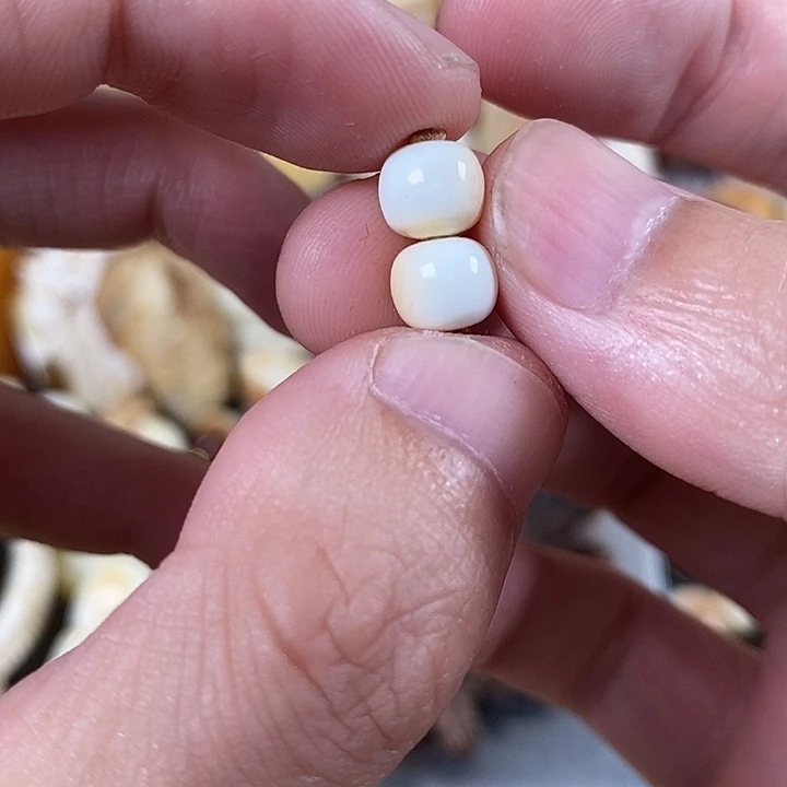 琥珀未镶嵌裸石我