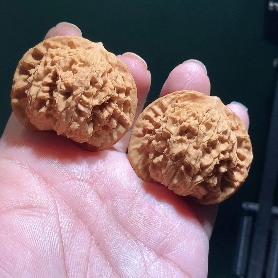 文玩核桃把件45盘龙纹全品