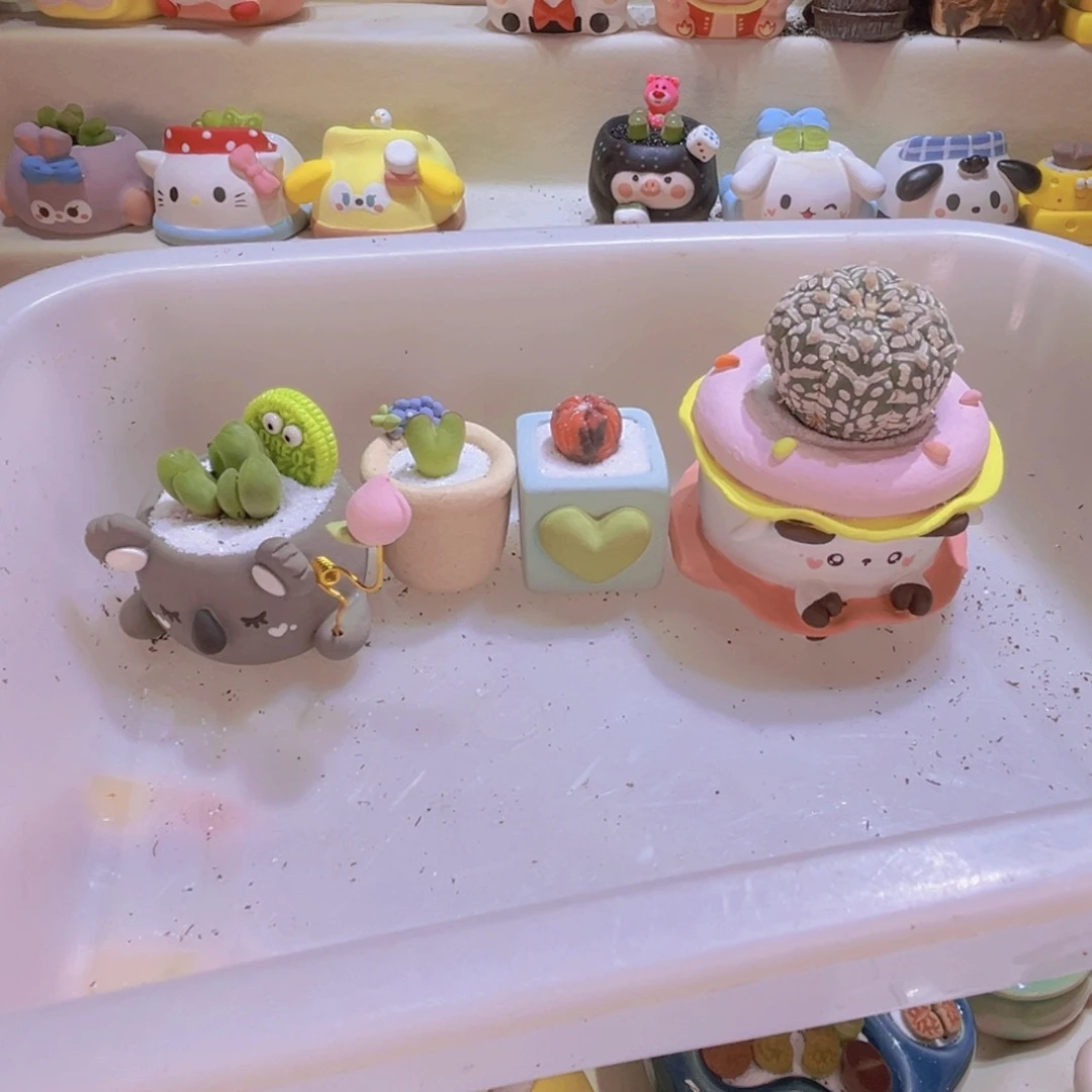 嘟***?099肉锥组合连盆带土包邮