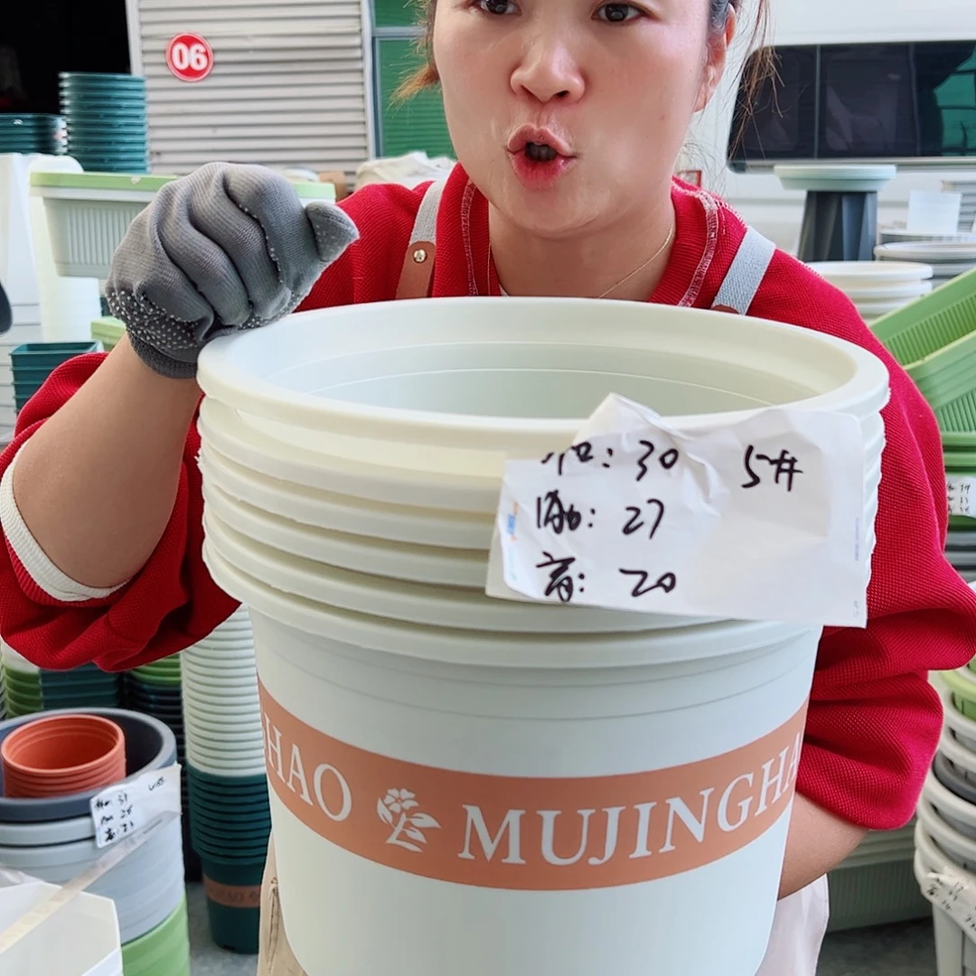 瑕疵矮胖5#米白色6个无托