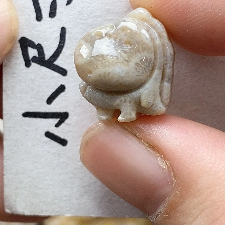颈饰未镶嵌硅化珊瑚（珊瑚玉）
