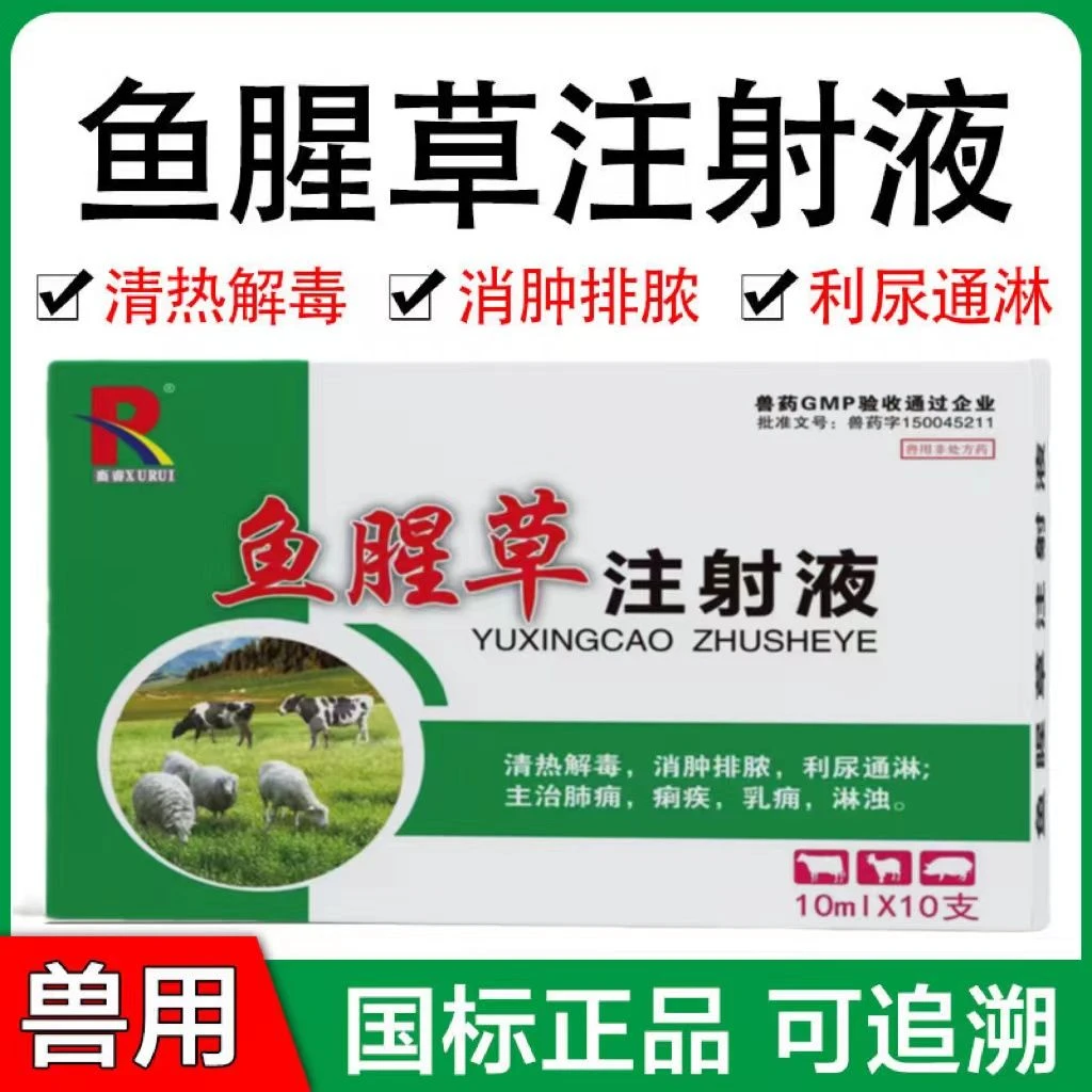 兽药鱼腥草注射液兽用产后康牛羊猪用产前产后消炎奶母猪保健