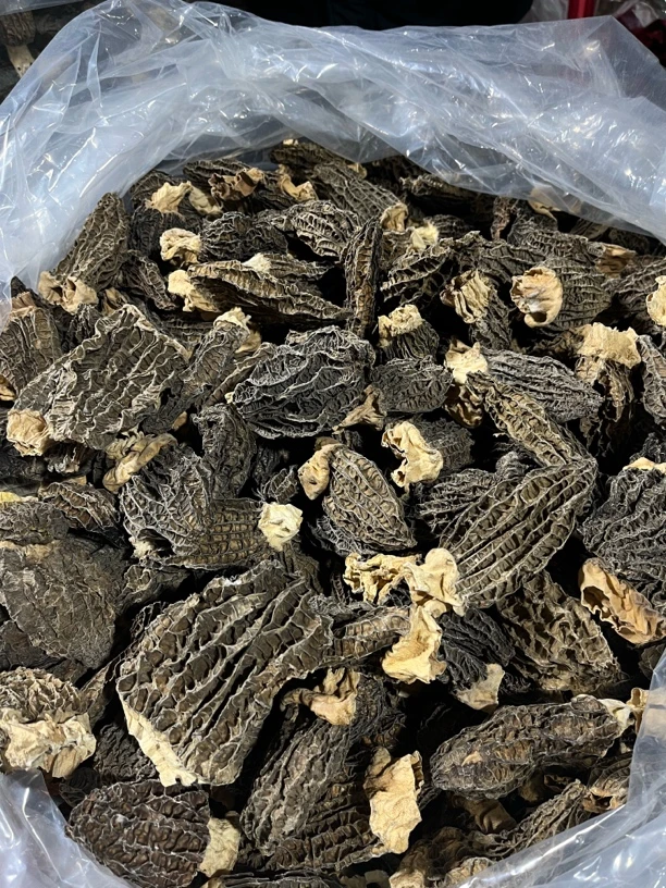 福利款【大个头六妹羊肚菌】0119