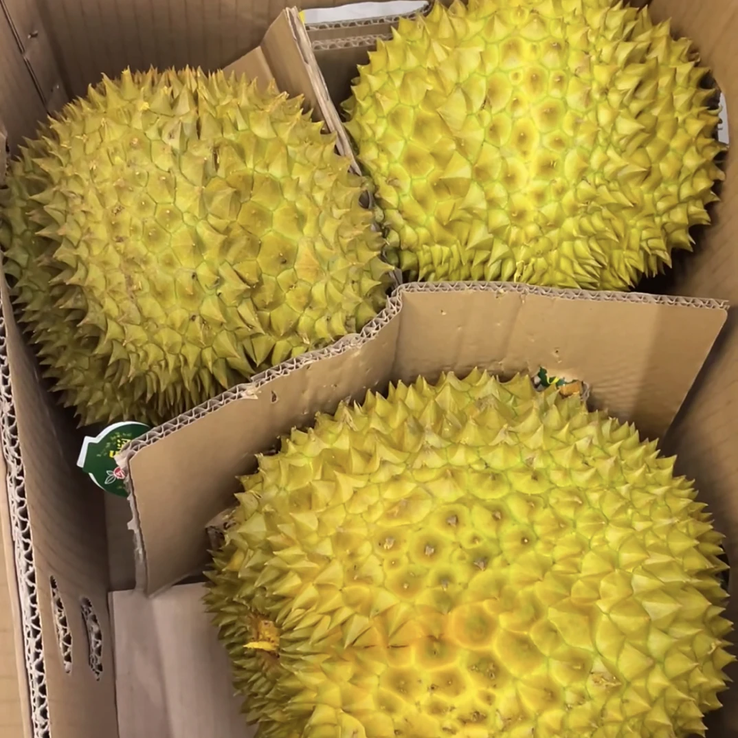 【一箱发货】泰国空运树熟AA级金枕鲜榴莲净果18斤核小软糯金枕泰国东部