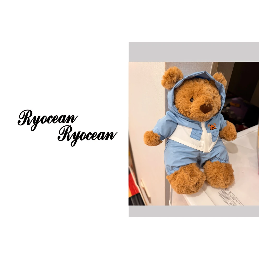 RYOCEAN 可爱滑雪装小熊毛绒抱枕玩偶（约20cm）