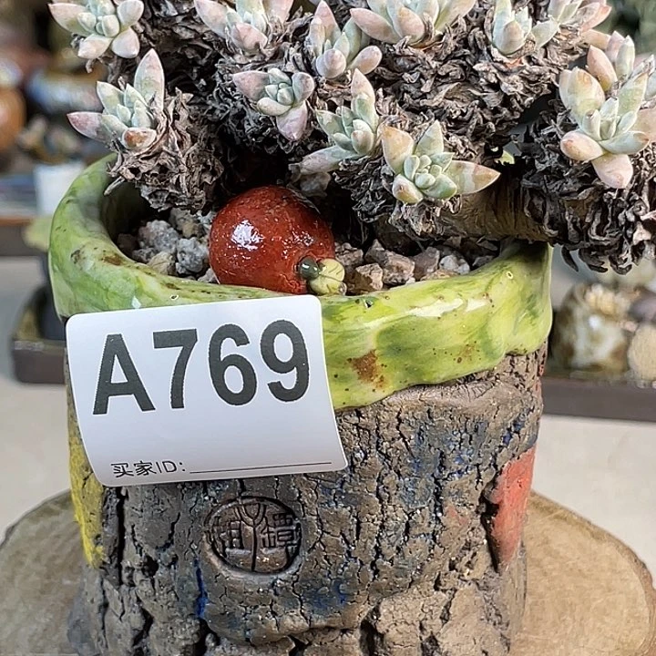 开播福利 默认微次 压盆石一个