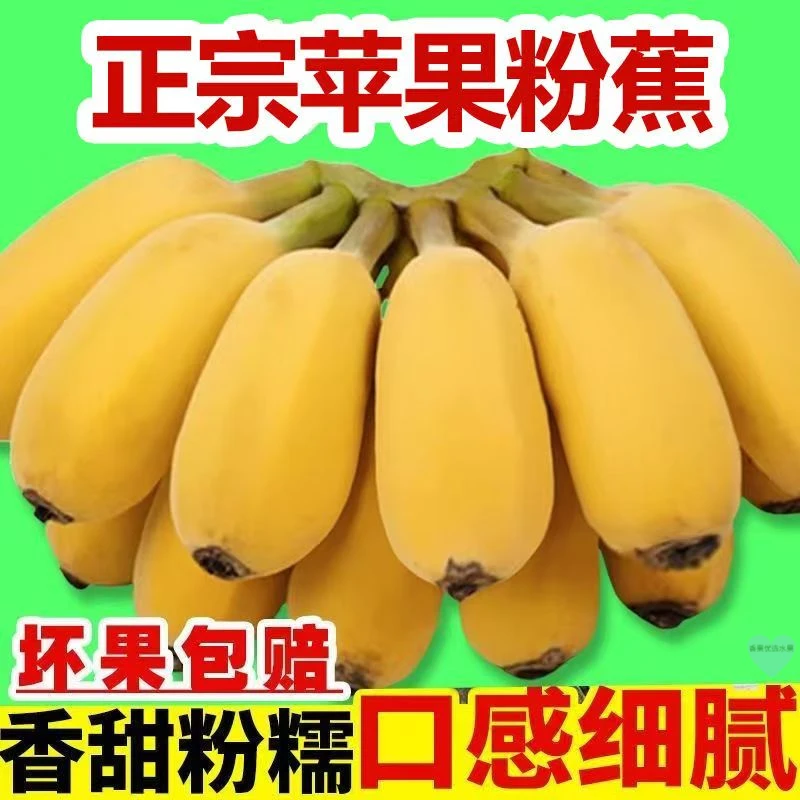 广东正宗苹果蕉产地直销自然熟香甜软糯现摘现发蕉特大果批发/1斤