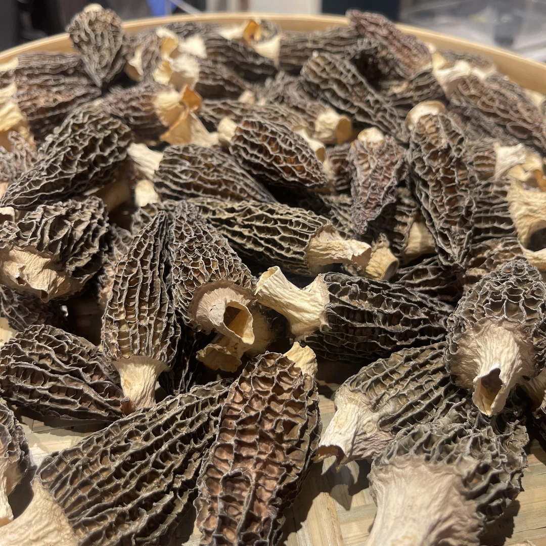 【龙兴裕】精品头茬羊肚菌 干货 7-9cm大规格 肉质肥厚