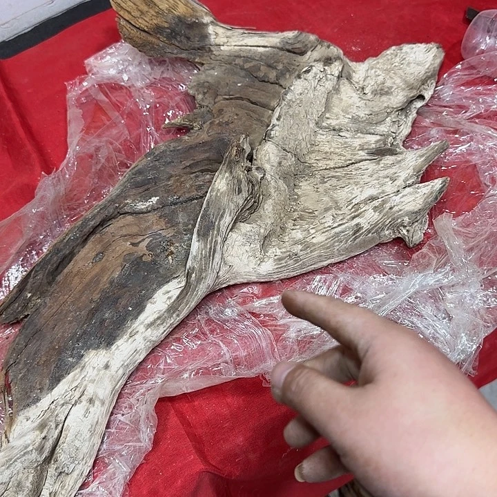 沧***月香榧木精选工艺品