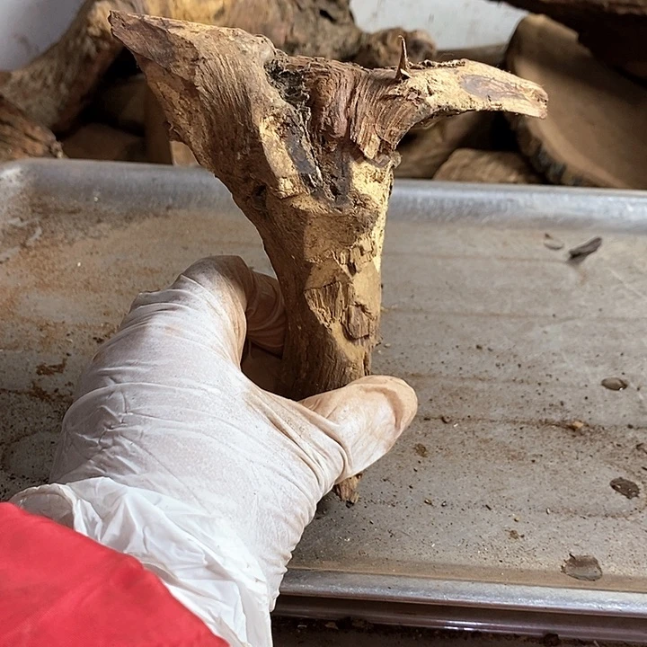 黄花梨/降香黄檀用****3